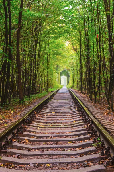 Ukraine, vieux chemin de fer, tunnel des amoureux — Photo