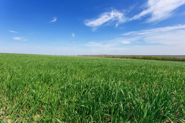 Vackra våren landsbygdens fält scen — Stockfoto