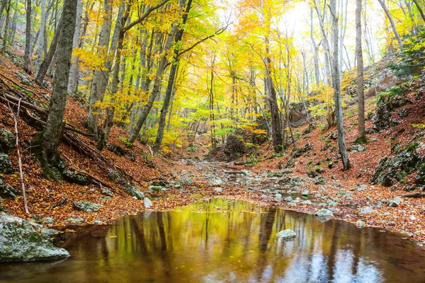 Bir sonbahar dağ Kanyon küçük nehir — Stok fotoğraf