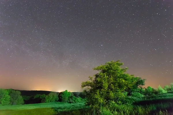 Campos rurais verdes na noite escura — Fotografia de Stock