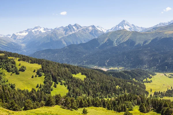 Bellissimo paesaggio montano estivo — Foto Stock