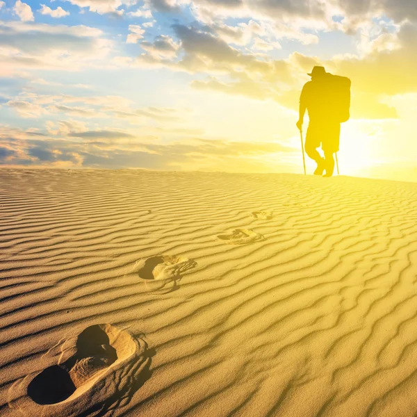 Hiker silhouette at the sunset in a desert — Stock Photo, Image