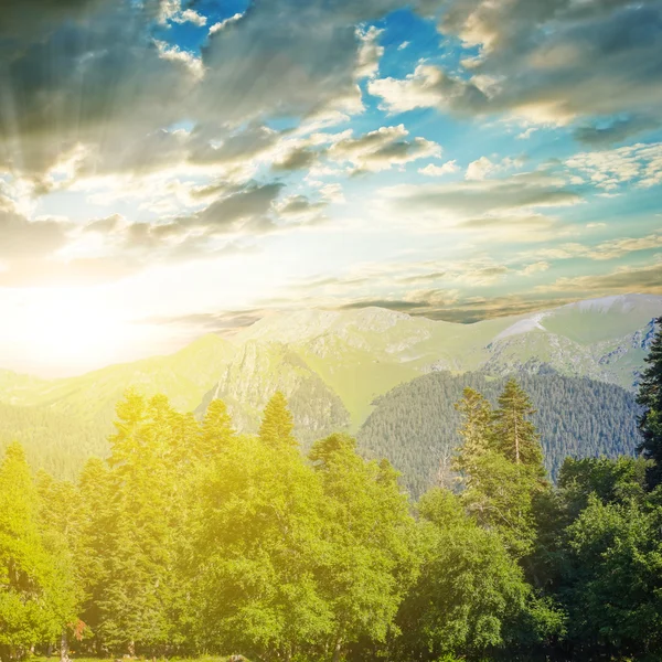 Tramonto luminoso su una verde valle di montagna — Foto Stock