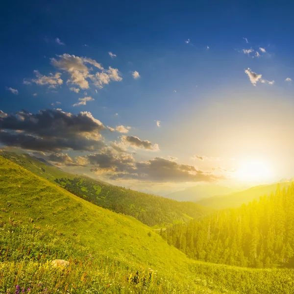 Coucher de soleil calme sur une vallée de montagne verdoyante — Photo