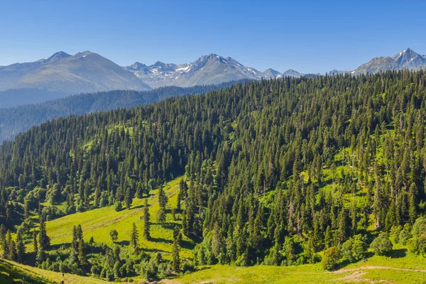 Green mountain landscape, caucasus russia — Stock Photo, Image