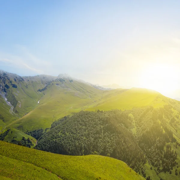 Verde valle di montagna al mattino presto — Foto Stock