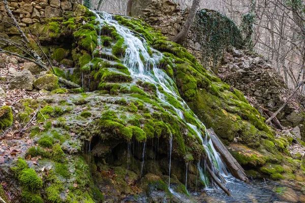 Pequeño arroyo de cañón de montaña —  Fotos de Stock