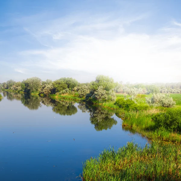 Beautiful summer river scene — Stock Photo, Image