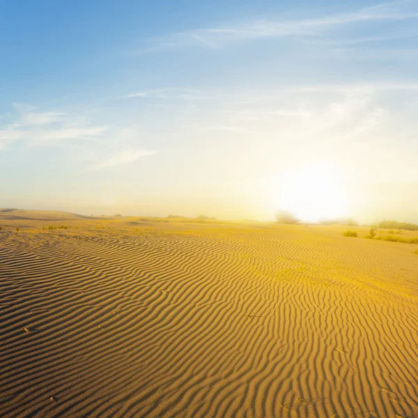 晚上沙质沙漠场景 — 图库照片