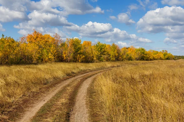 Jesienny krajobraz suchych prerii — Zdjęcie stockowe