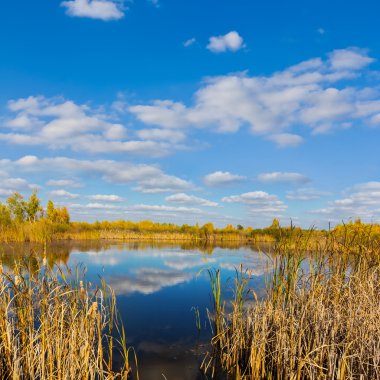 güzel yaz küçük kır Gölü sahne