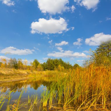 güzel yaz küçük göl sahne