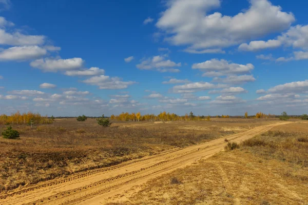 Drogi ziemi przez prairie — Zdjęcie stockowe