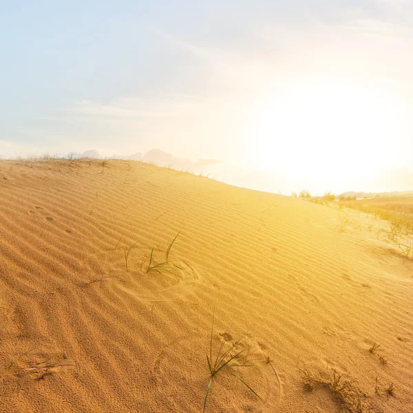 gün batımında kırmızı Kum Çölü