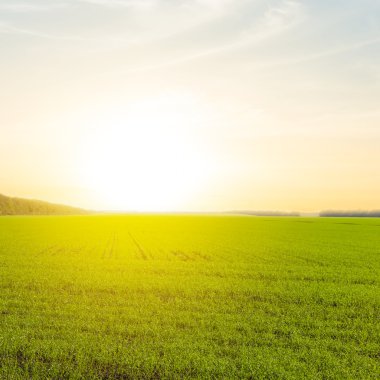 günbatımı üzerinde yeşil bir kırsal alanlar