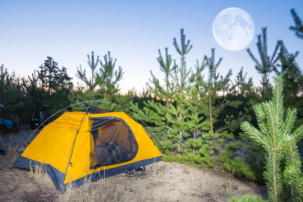 Campeggio turistico in una pineta — Foto Stock