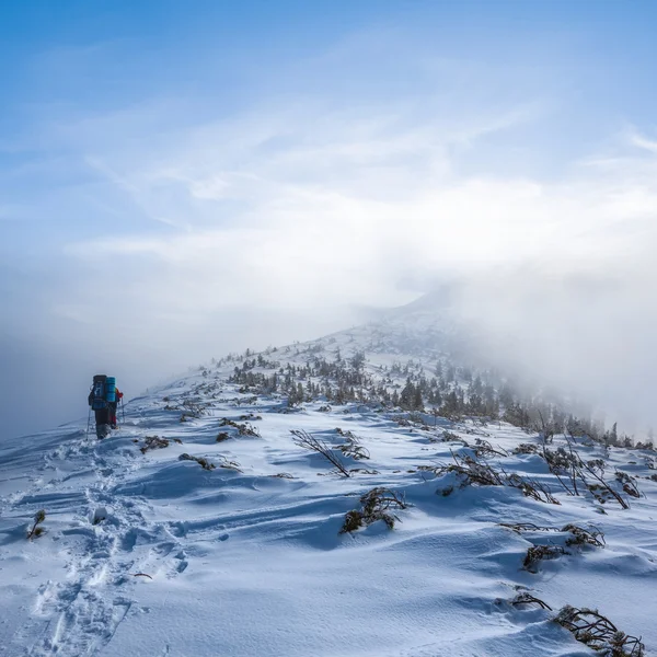 Grupo de excursionistas en una montaña brumosa de invierno —  Fotos de Stock