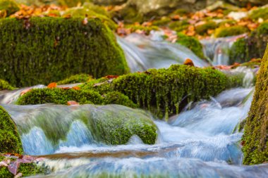 Tatlı küçük mountain brook