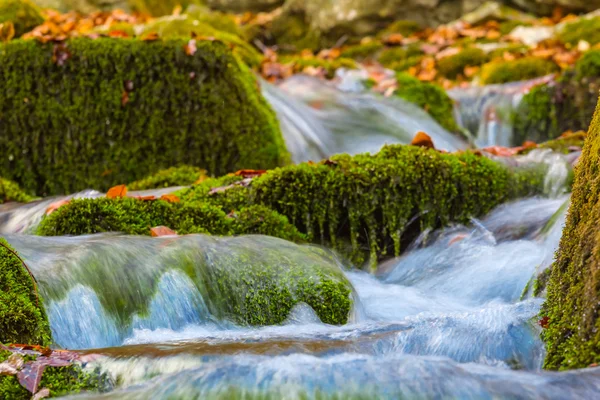 Tatlı küçük mountain brook