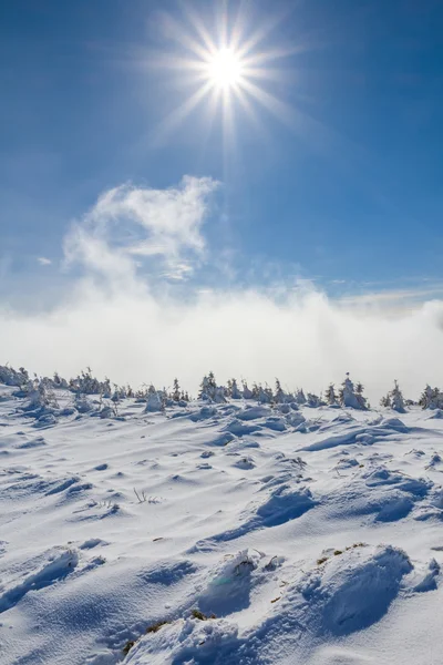 Заснеженная зимняя равнина к солнечному дню — стоковое фото