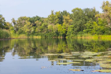 güzel yaz nehir manzara