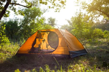 Turuncu çadırda bir orman