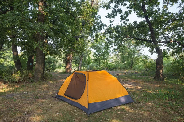 Campamento turístico en un bosque —  Fotos de Stock