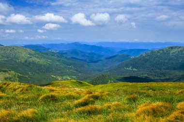 güzel yeşil dağ manzarası