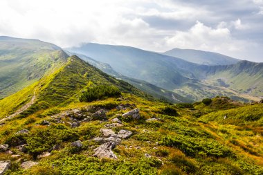 güzel yeşil dağ zinciri manzara