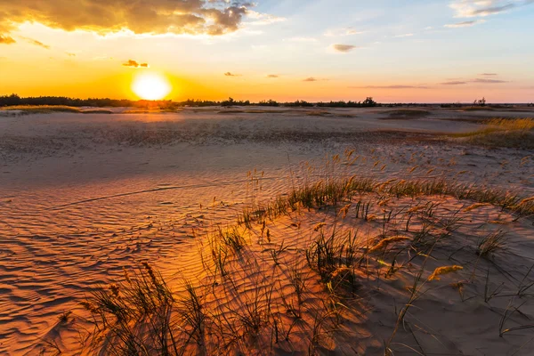 Zandstrand prairie bij de zonsondergang — Stockfoto