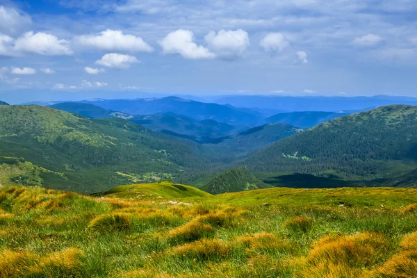 Bellissimo paesaggio verde di montagna — Foto Stock