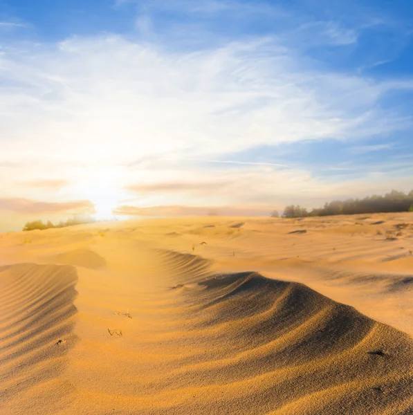 Pôr do sol sobre um deserto arenoso — Fotografia de Stock