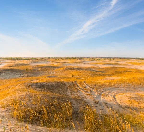Letní písečné pouštní krajina — Stock fotografie