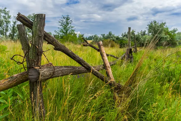 Fából készült kerítés, zöld mezők között — Stock Fotó