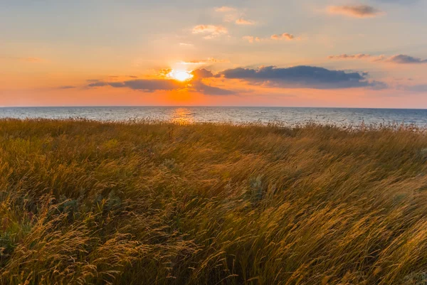 Prärien nära en havskust vid solnedgången — Stockfoto