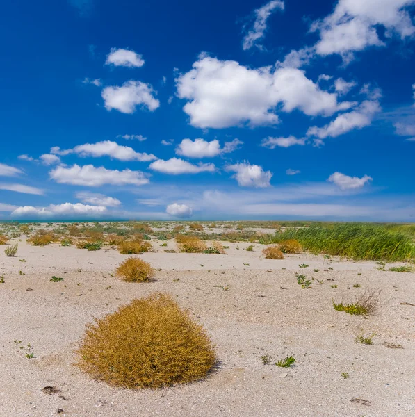 Sandy summer badland landscape — Stock Photo, Image