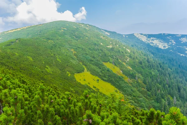 Topo de montagem verde em um fundo azul céu — Fotografia de Stock