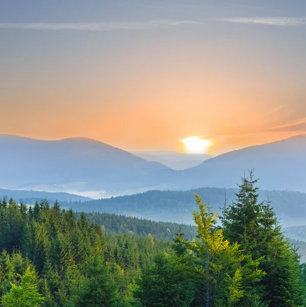 Grönt berg dalen på morgonen — Stockfoto