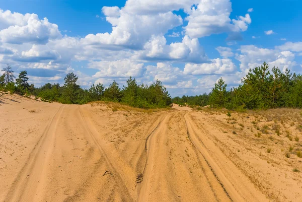 Písečná poušť za scénu modrá obloha — Stock fotografie