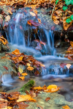 closeup sonbahar dağ dere