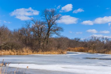 Kış ormanı ve donmuş nehir