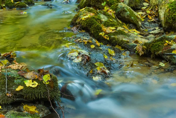 Zbliżenie małych górskich brook — Zdjęcie stockowe