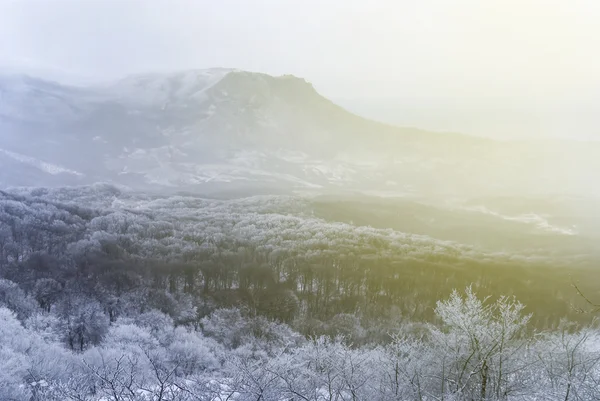 Inverno nebuloso paisagem montanhosa — Fotografia de Stock