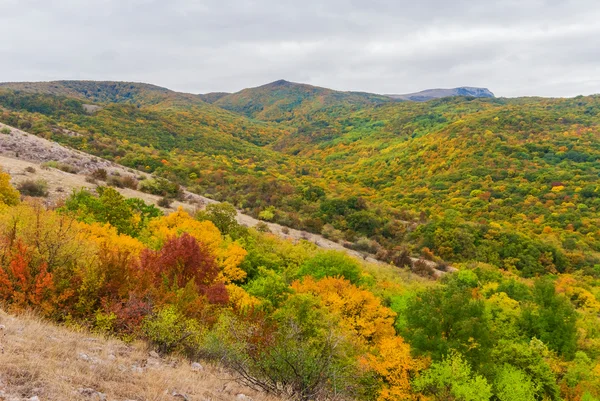 Otoño rojo montaña bosque escena — Foto de Stock