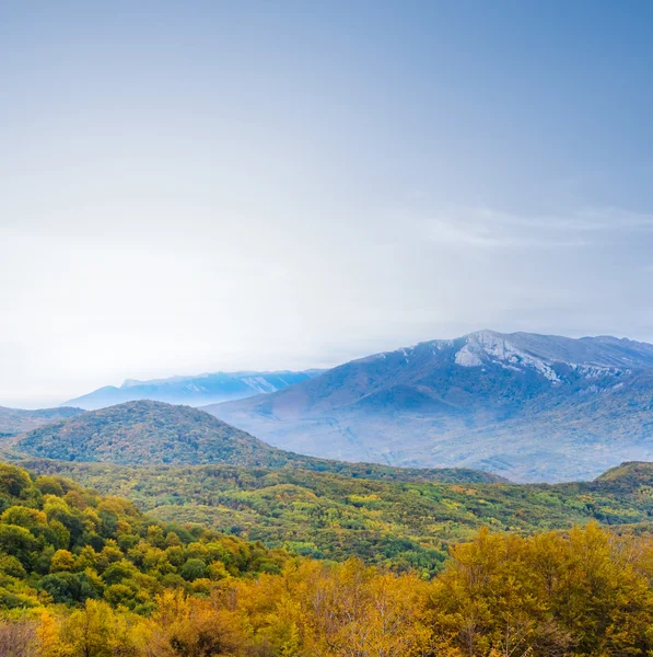 Podzimní mlhavá horská scéna — Stock fotografie