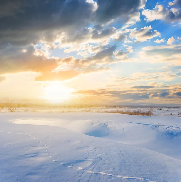 Sunset over a winter snowbound plain — Stock Photo, Image