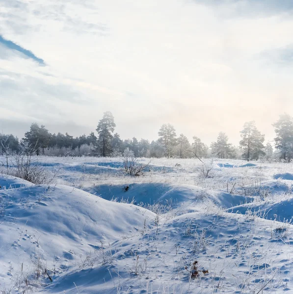 Inverno luminoso innevato pianura scena — Foto Stock