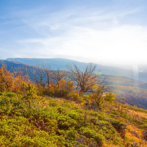 Otoño montaña valle escena en la noche — Foto de Stock