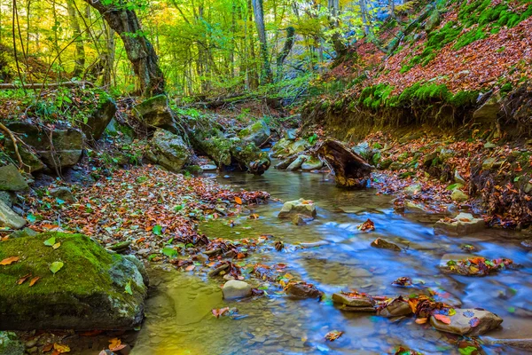 Pequeño otoño cañón río escena — Foto de Stock