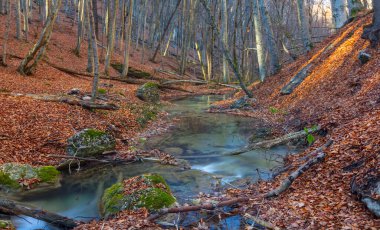 Sonbahar dağ kanyonunda akan küçük nehir kuru yaprakları kapladı.